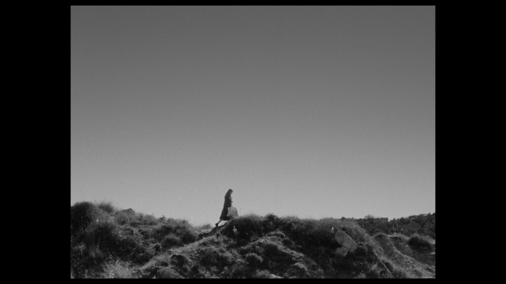 RememberJuliaStill 2025-08-12 013516_2.1.14