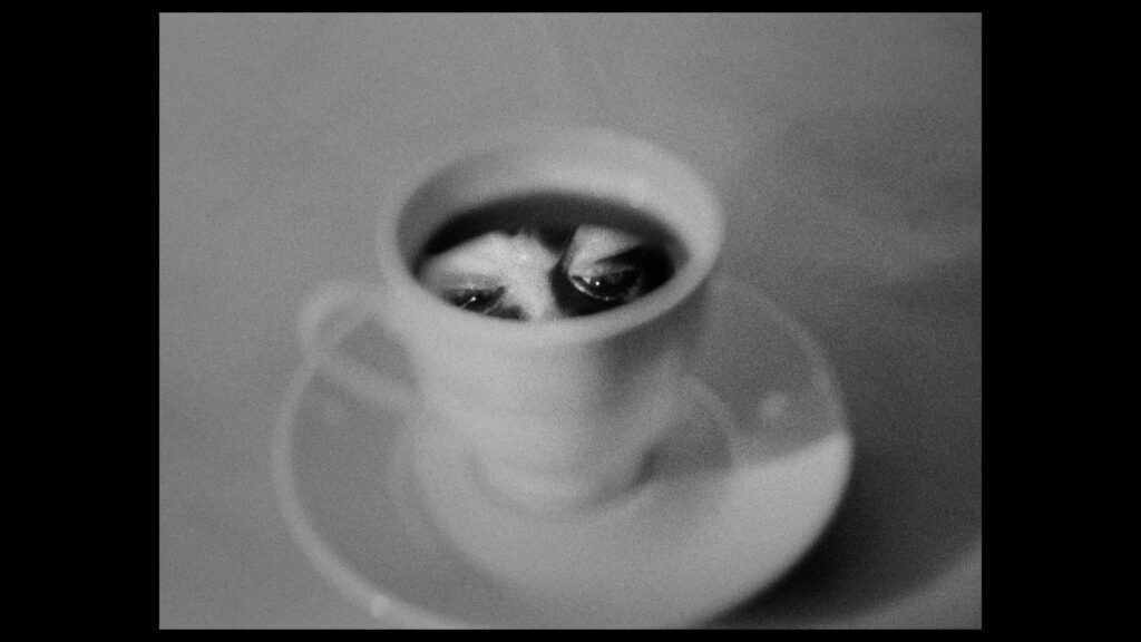 RememberJuliaStill 2025-08-12 013516_2.1.17