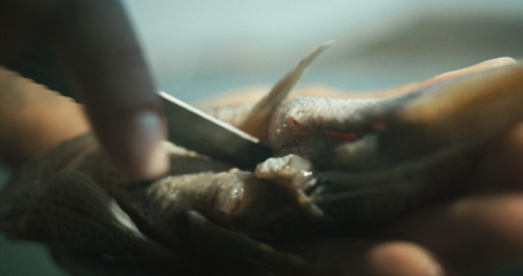 To_Nisi_Tis_AfroditisC4195_1.101.1