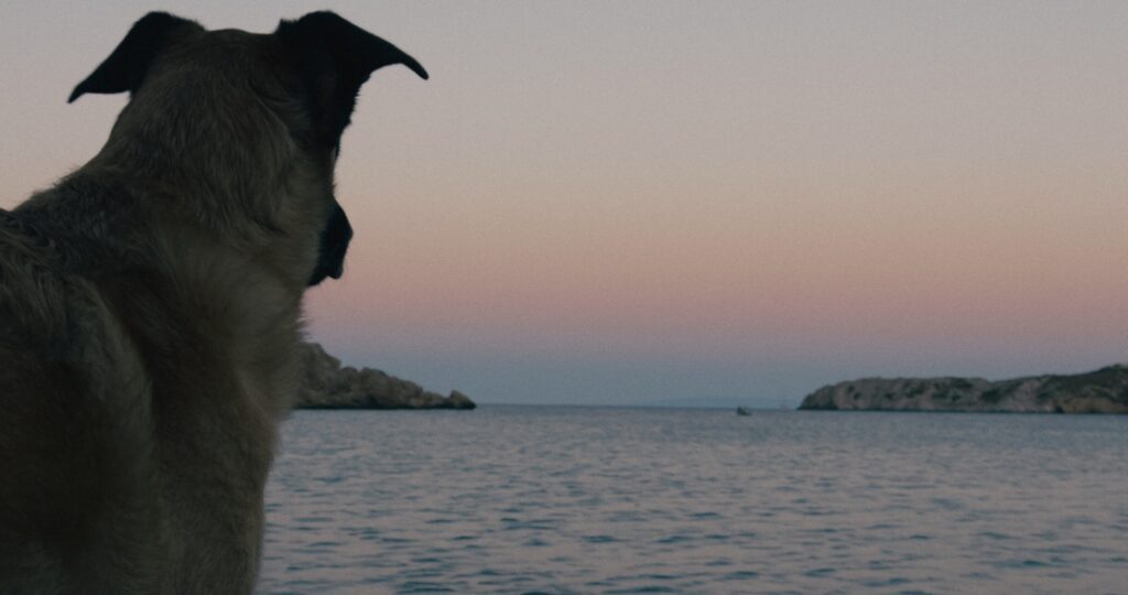 To_Nisi_Tis_AfroditisF034C001_240813PI_1.208.1